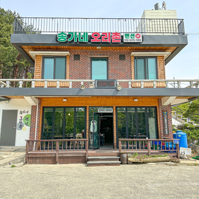 송가네 오리 이미지