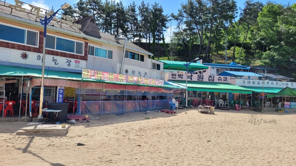 천전통닭 이미지
