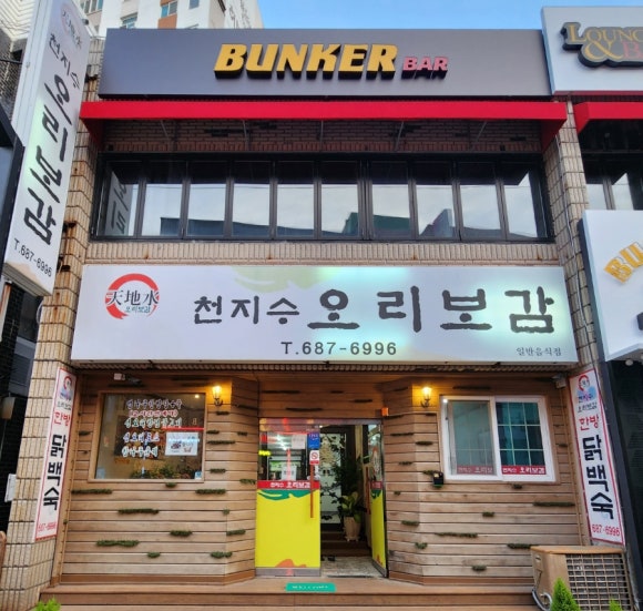 천지수오리보감 이미지