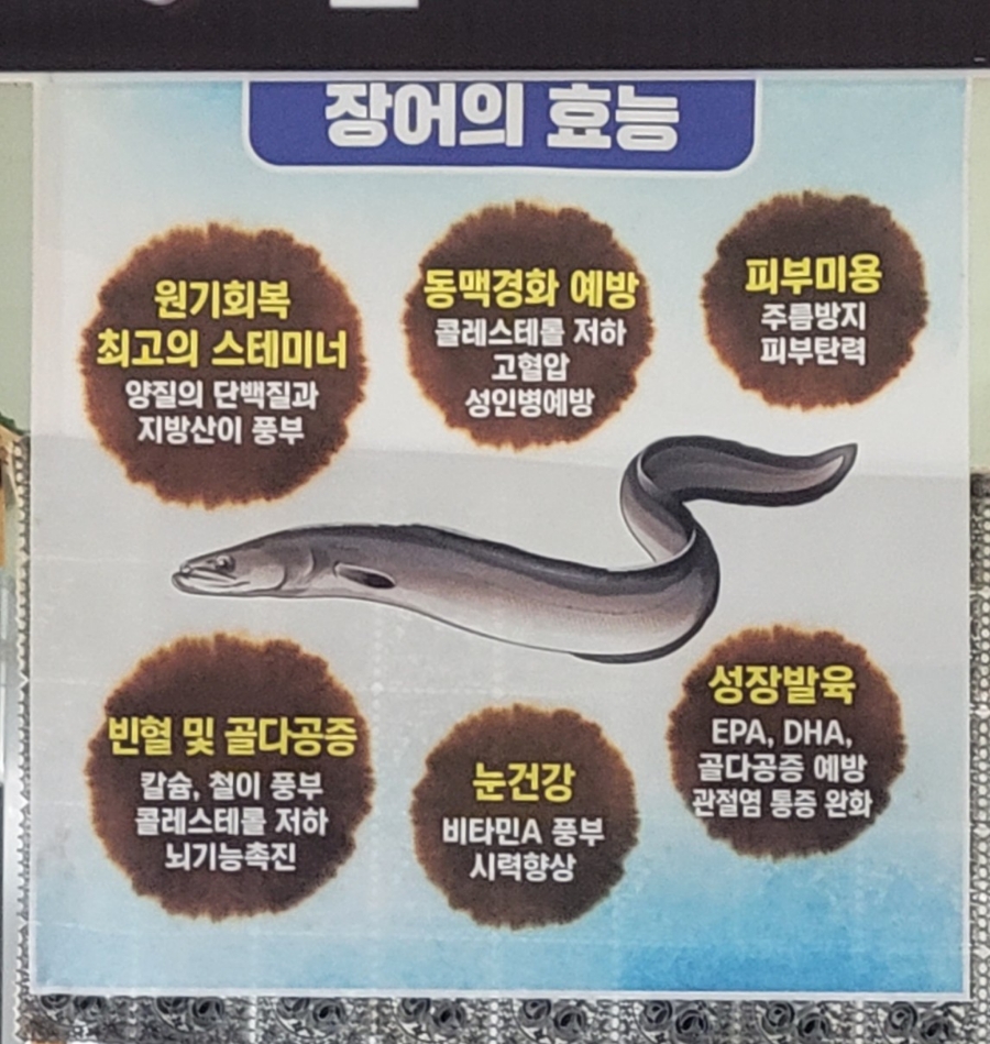 병호돌장어 이미지