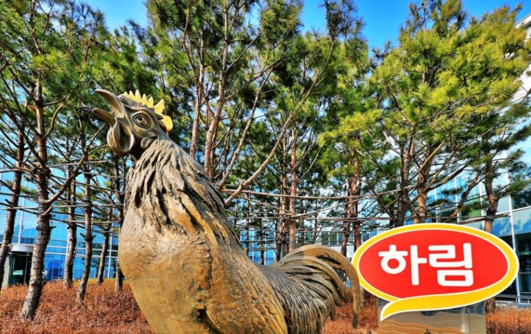 하림투어 이미지