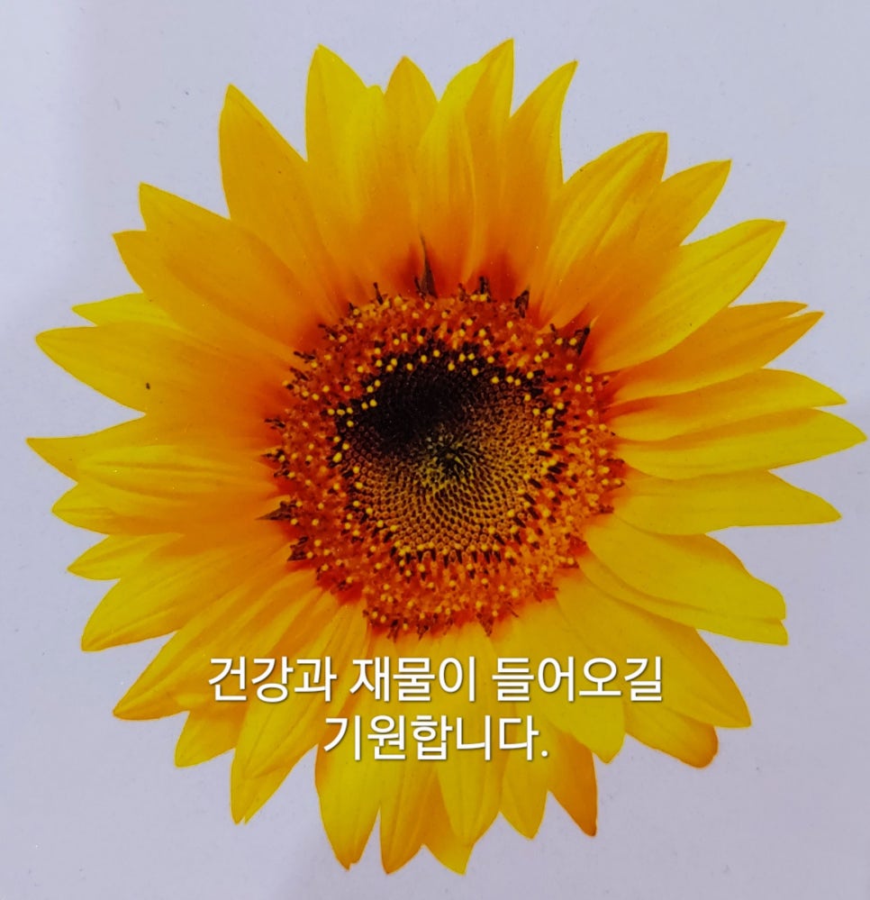 진천농협하나로마트 이미지