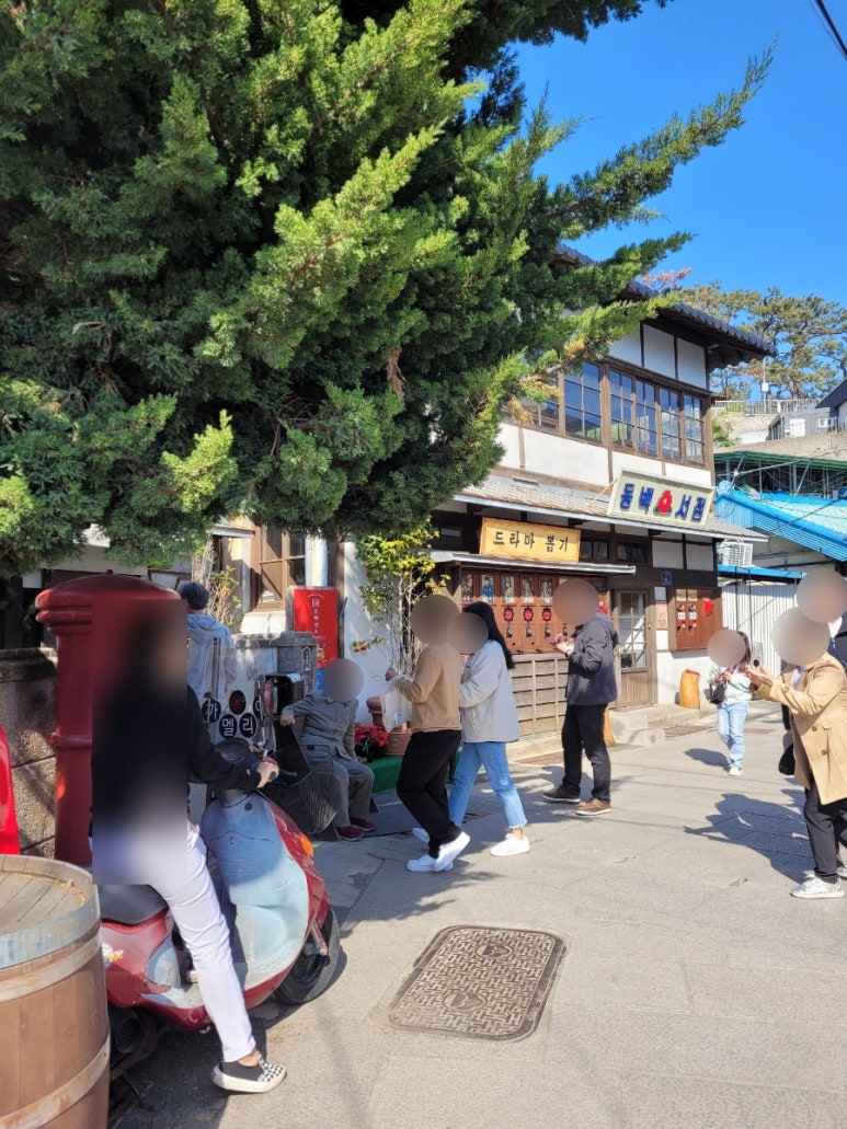 여명사진관 이미지