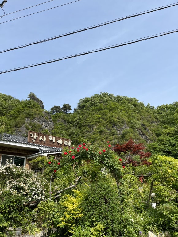 각시터카페 이미지