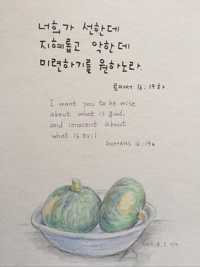 더사랑의교회 이미지