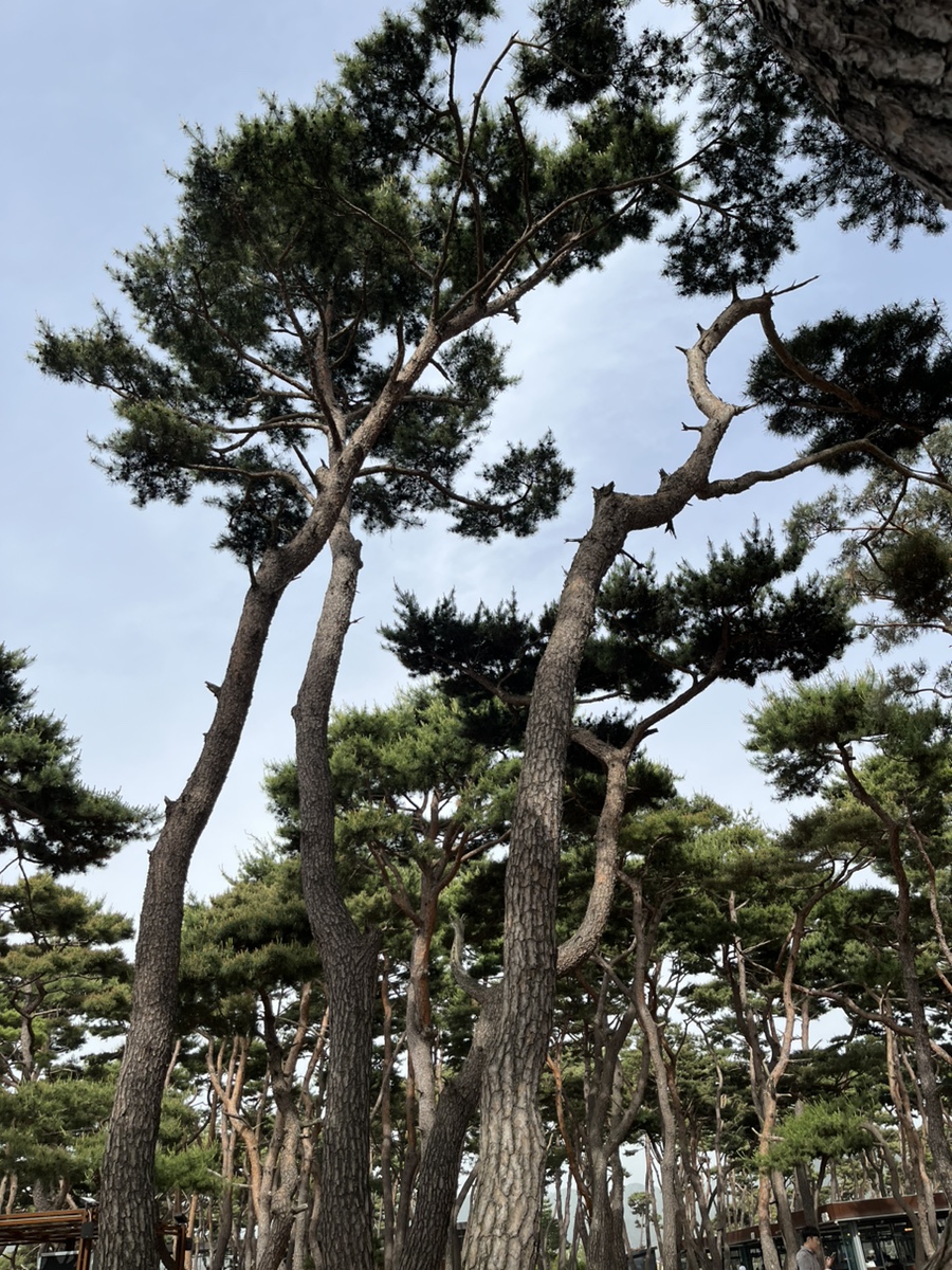 유나커피,맥주 이미지