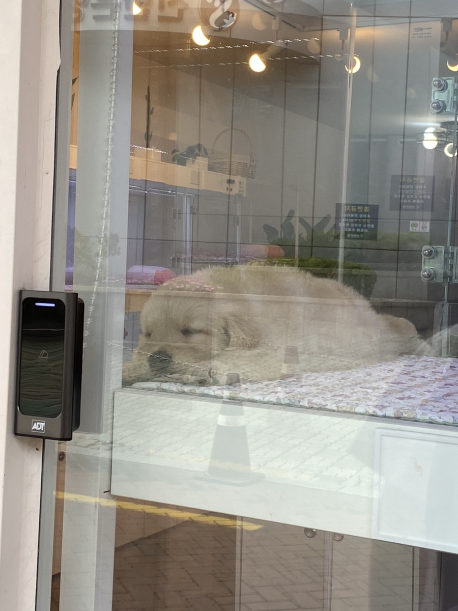 더기미용실 이미지