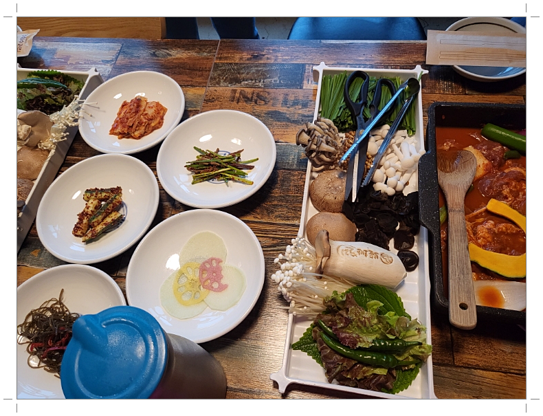 숲속의오리 이미지