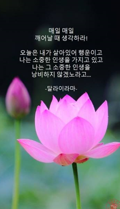 카네기인재개발원 이미지