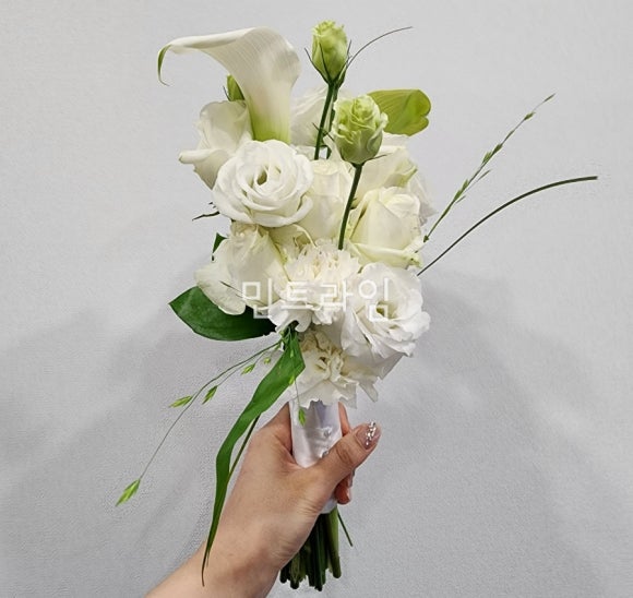 웨딩비르우엘 이미지