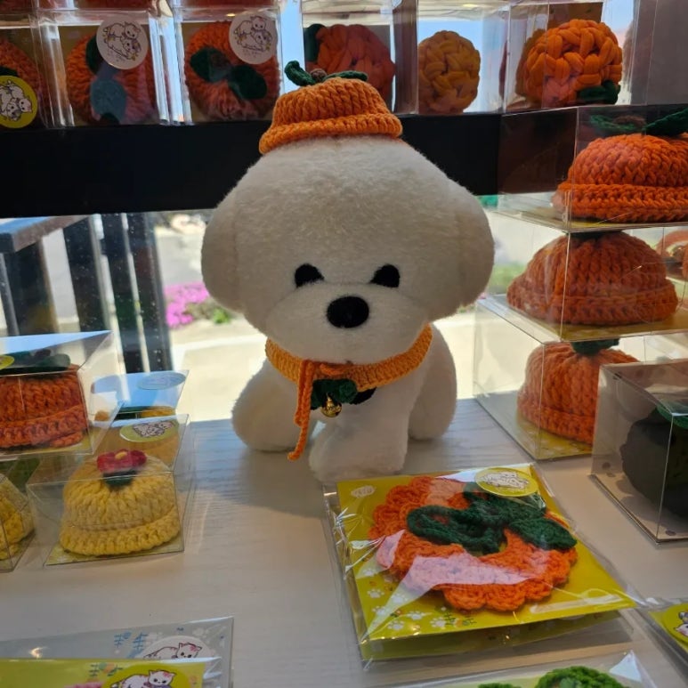 (주)체크인투어 이미지