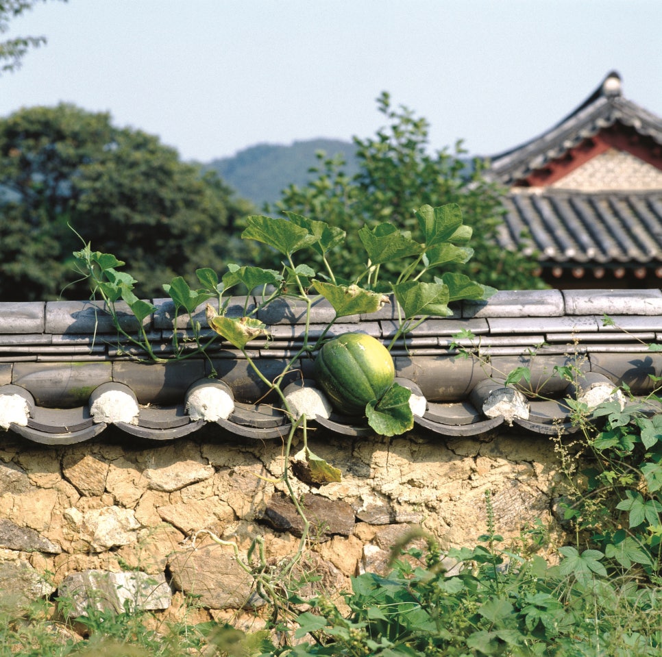 도해식품 이미지