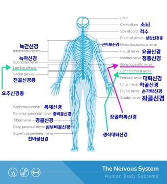 강한마디재활의학과 이미지