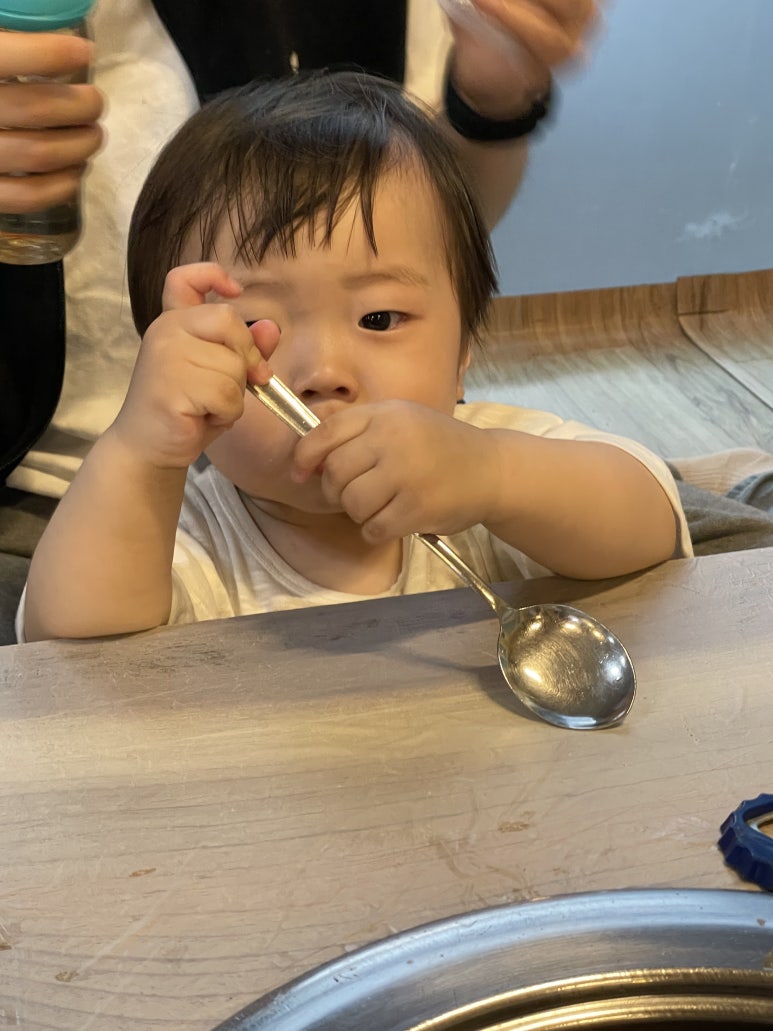 전통갈메기 이미지
