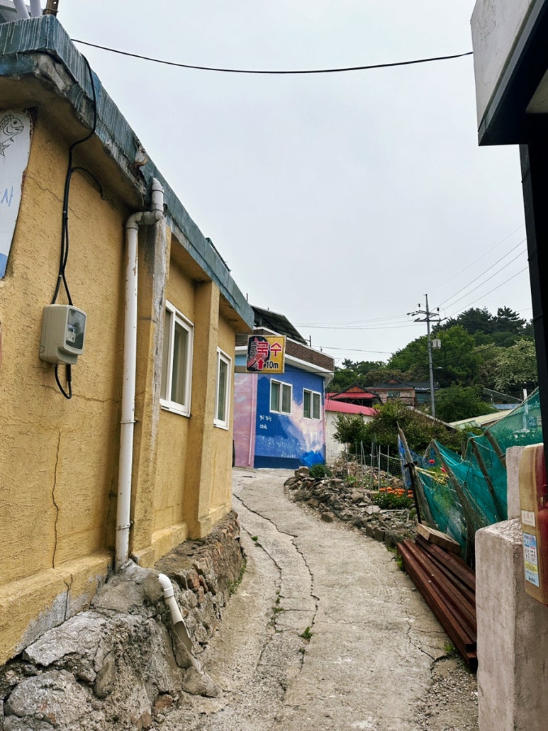 뗌리 이미지