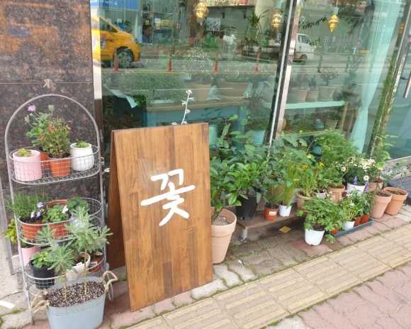 엘제플라워 이미지