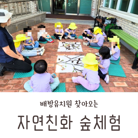 해바라기자연유치원 이미지
