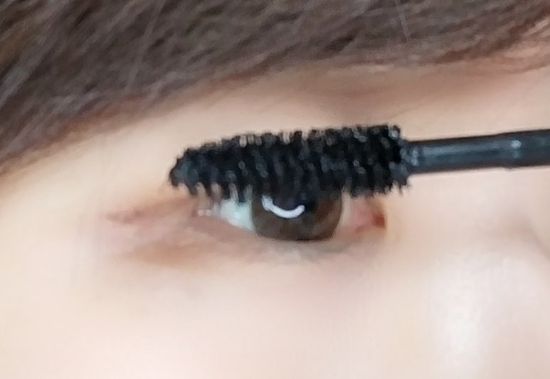 시스켈리 이미지