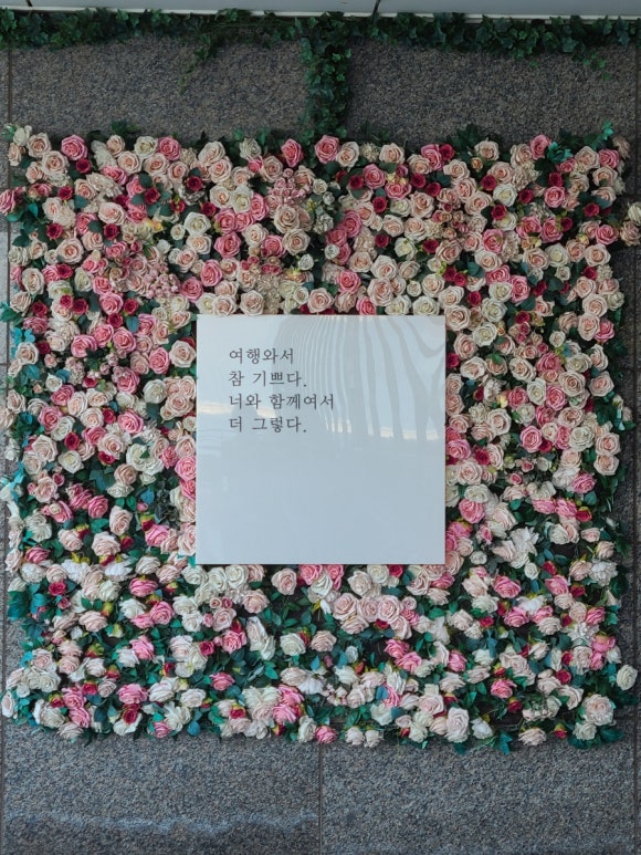 자청뮤지엄 이미지