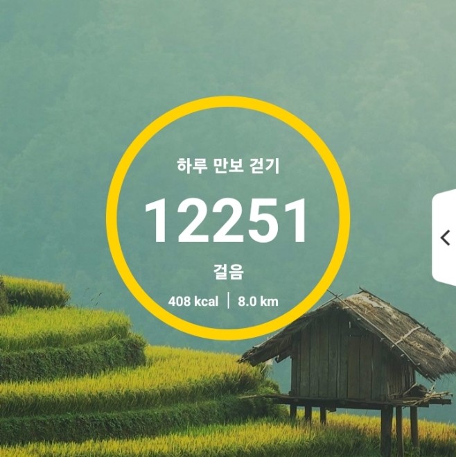 황토치킨 이미지