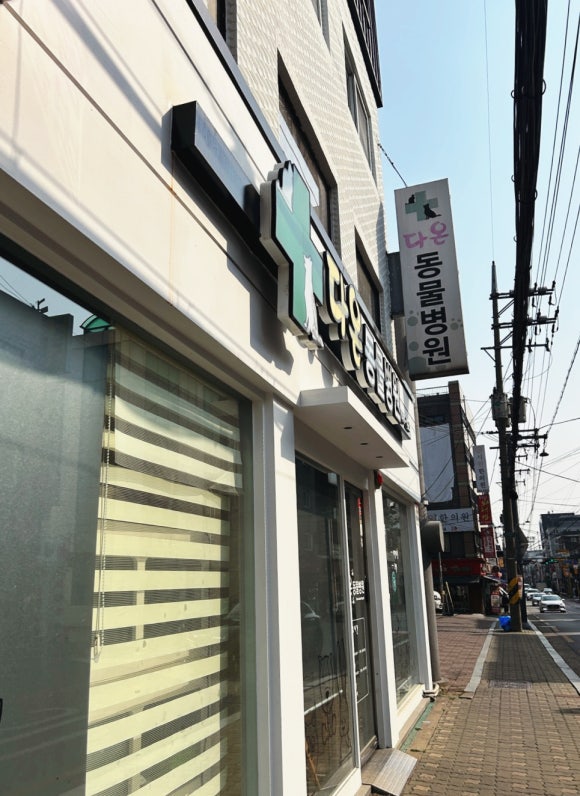파랑새사진관 이미지