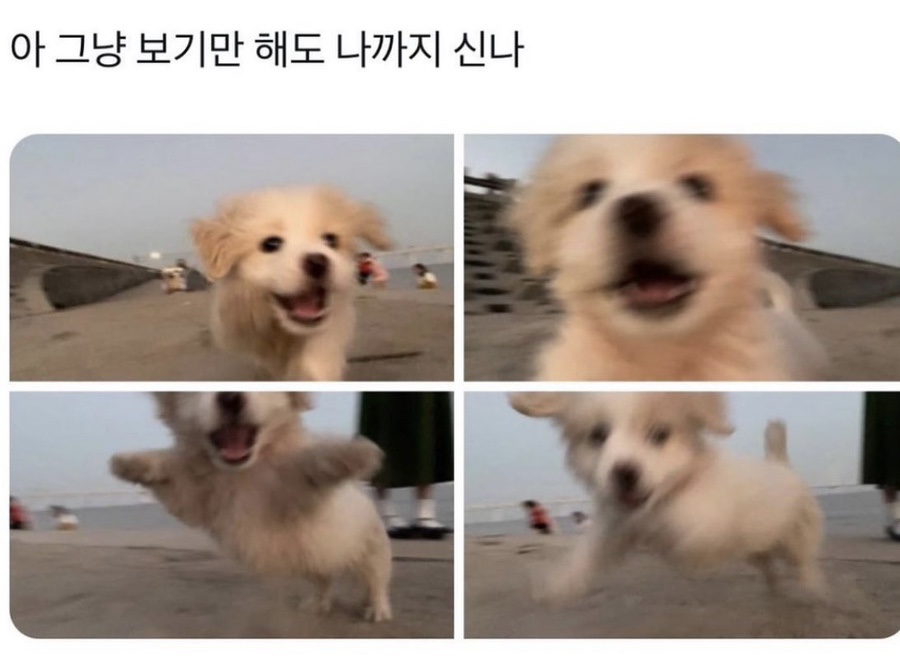 우리화원 이미지