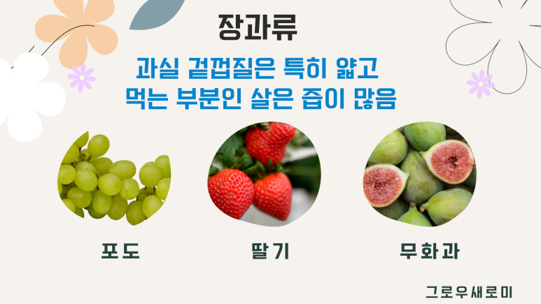 성은식품 이미지