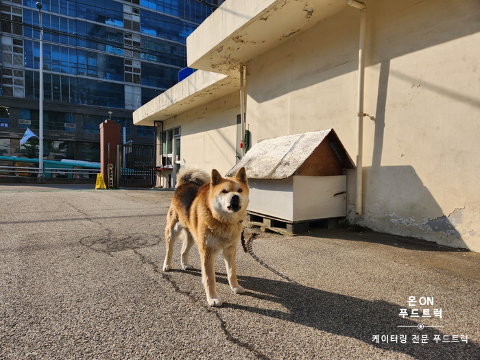 주식회사 푸드온 이미지