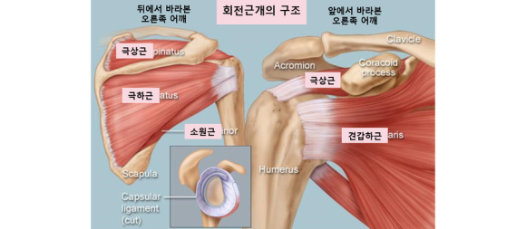 스트레칭303 이미지