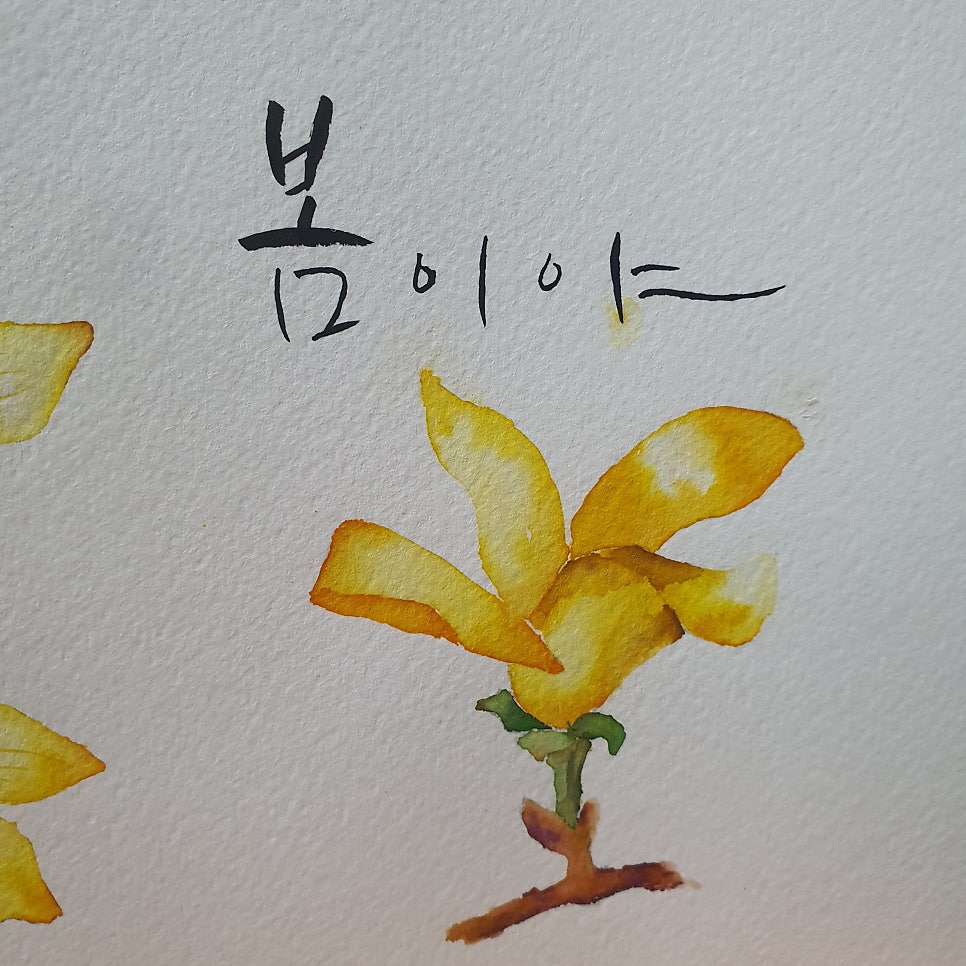 개나리문구 이미지
