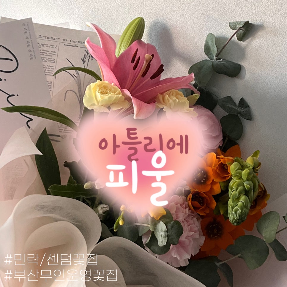 아틀리에피울 이미지