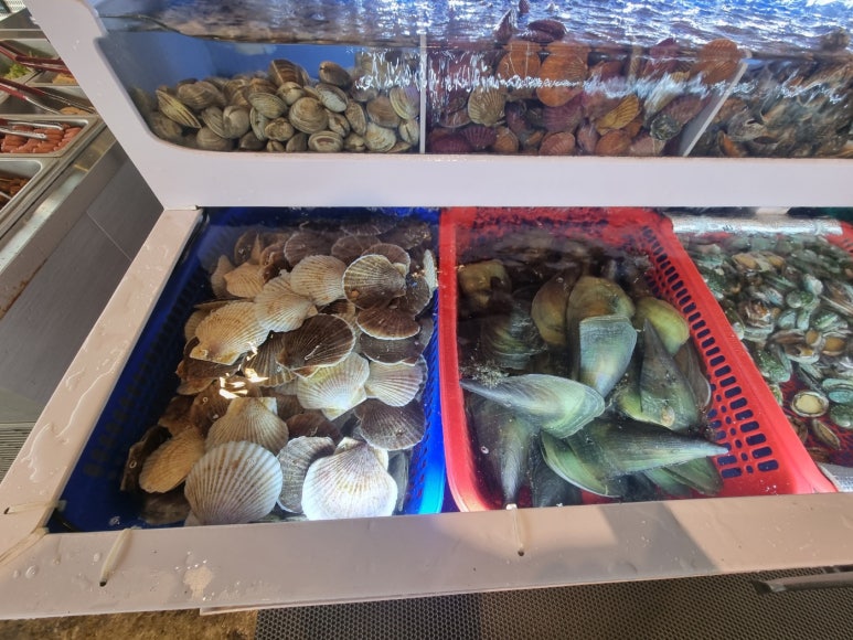 영광조개구이무한리필 이미지