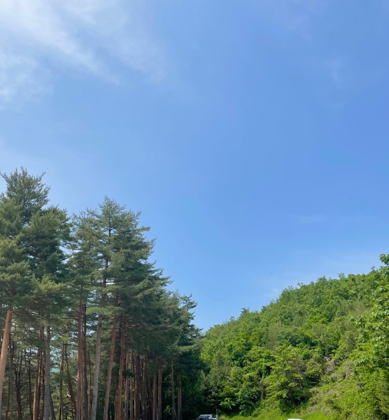 솜복솜복 이미지