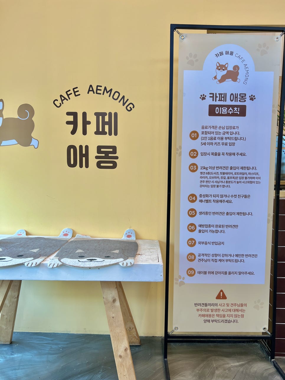 상상애몽 이미지