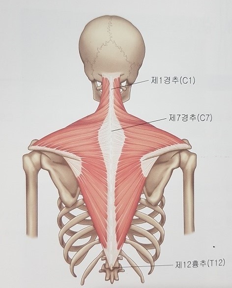 밸런스22 이미지
