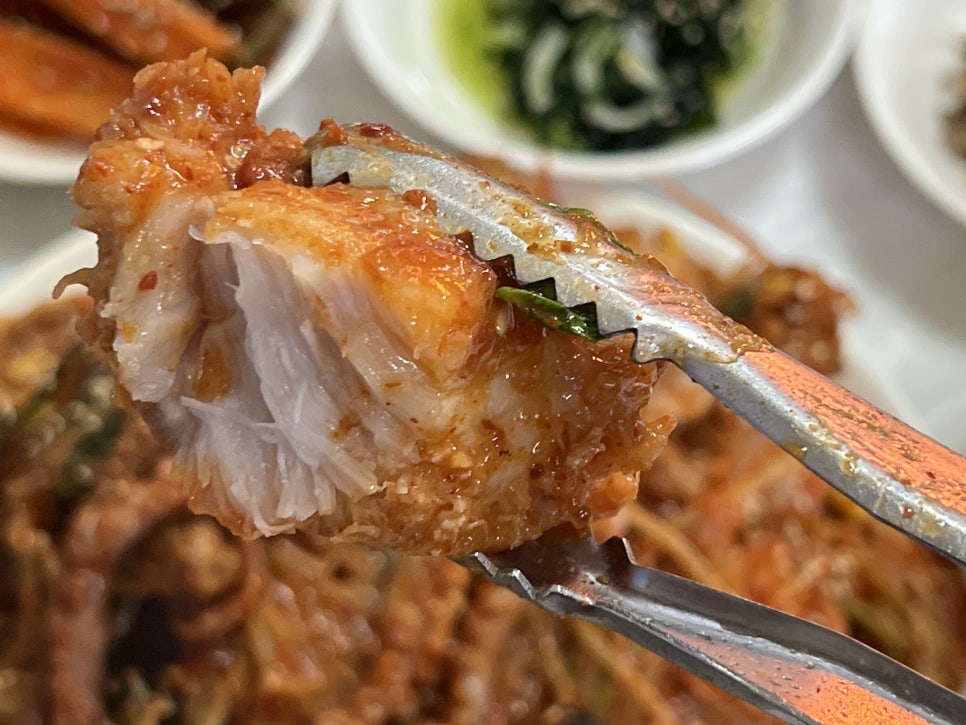 아구조아 이미지