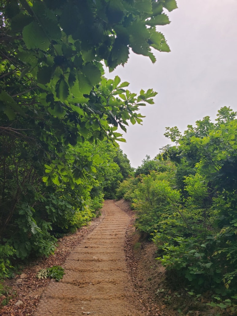 남한산(동) 정상석 이미지