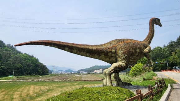공룡발톱 이미지