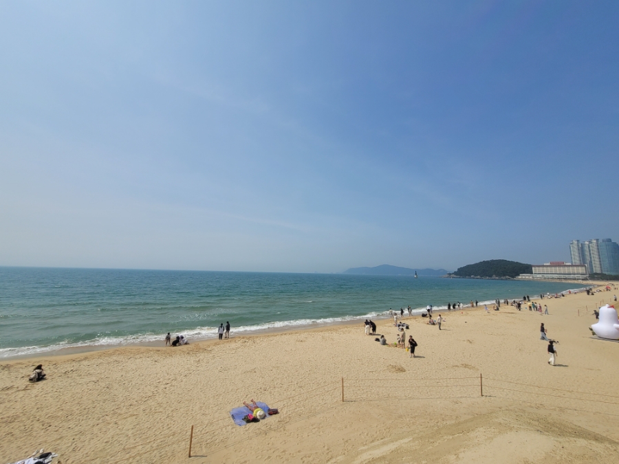 감나무집장어구이 이미지