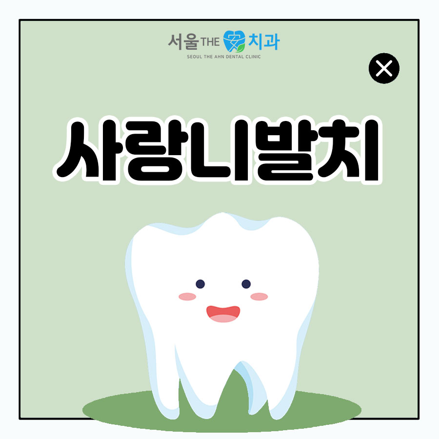 서울더정성치과 이미지