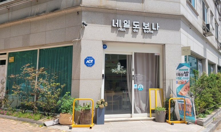 네일도 보나 이미지