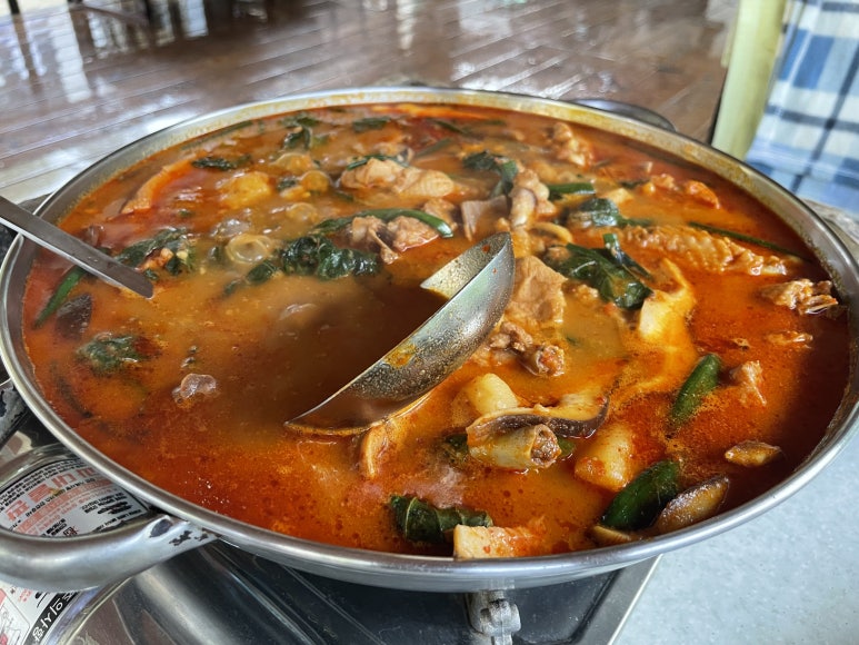 거북이민박 이미지