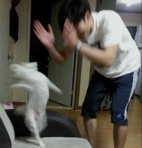 청주상의원 이미지