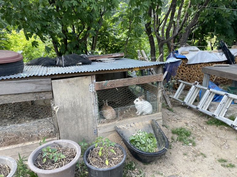거북이민박 이미지