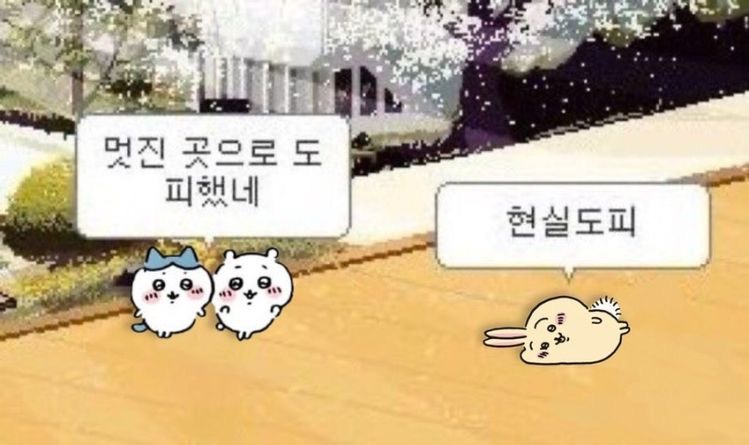 태준몰 이미지