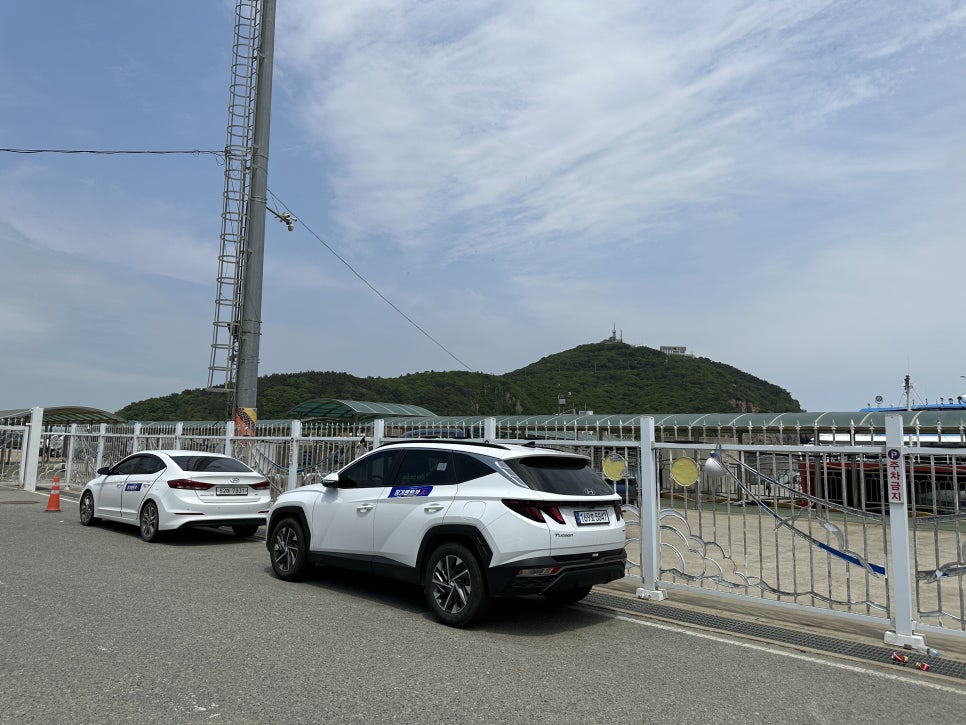 차놀자렌트카안 이미지