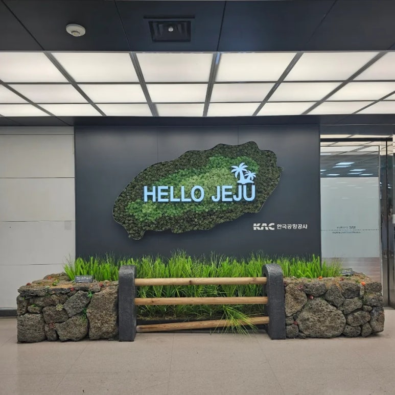 (주)체크인투어 이미지