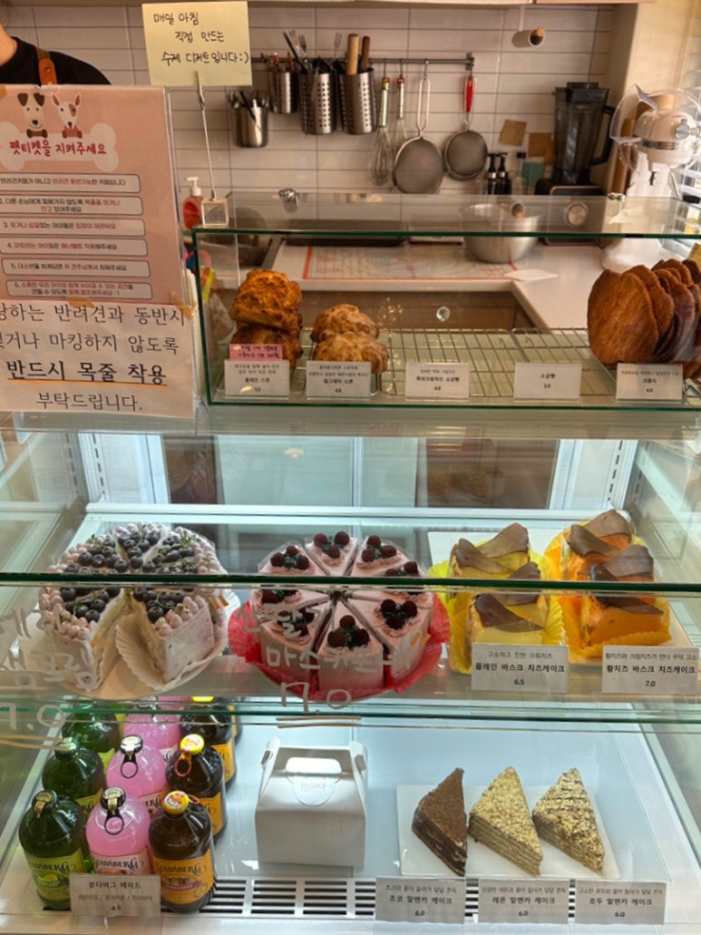 멜로우디(MELLOW:D) 이미지