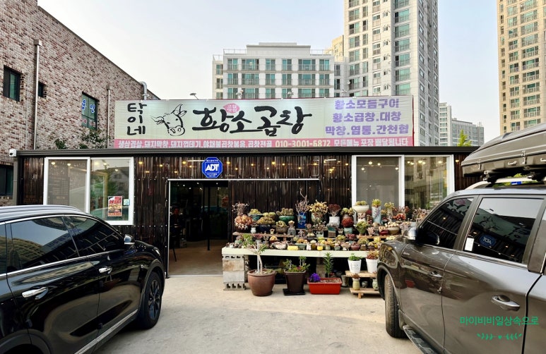 탁이네황소곱창 이미지