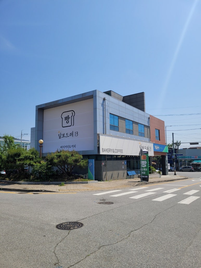 달보드레13 이미지